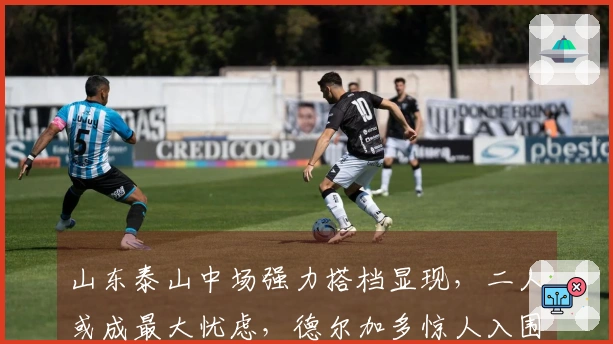 山东泰山中场强力搭档显现，二人或成最大忧虑，德尔加多惊人入围
